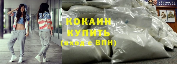 шишки Горнозаводск