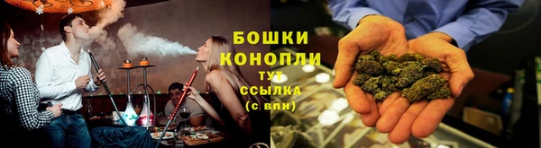 шишки Горнозаводск
