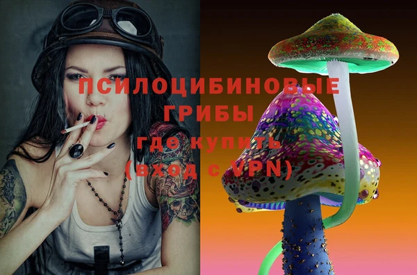 соль ск Горно-Алтайск