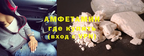 шишки Горнозаводск